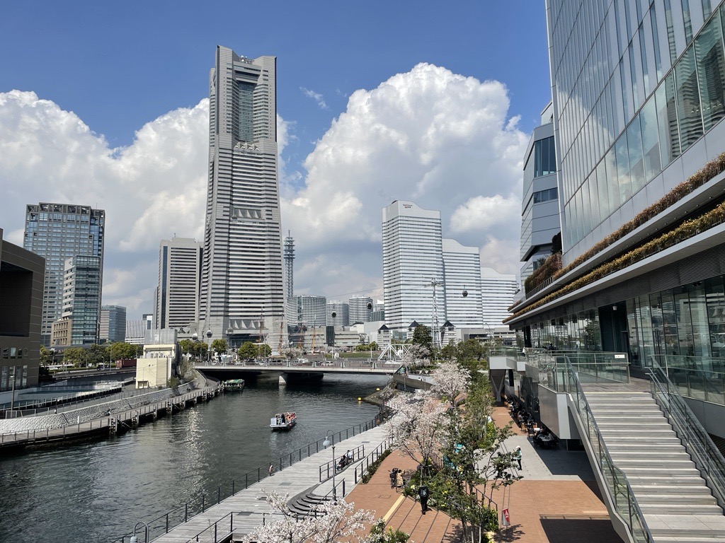 庁舎から見た横浜市の風景