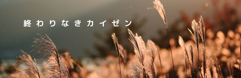 終わりなきカイゼン